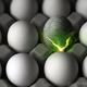 Illustration for article titled How Did One Man Contaminate Half a Billion Eggs, and Why Wasn't He Stopped?